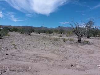 18027 Cholla Chuck Dr, Wikieup, AZ 85360