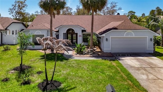 8208 Rhanbuoy Rd, Spring Hill, FL 34606