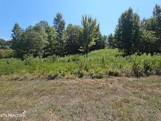 0 Meadow Ln Unit 1273962, Harriman, TN 37748