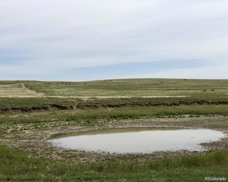 01 County Roadd 146 C, Agate, CO 80101