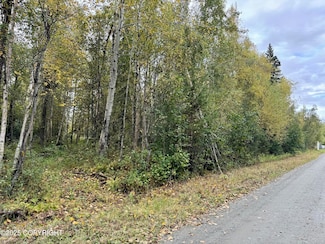 8593 River Dr, Palmer, AK 99645