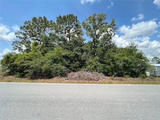 TBD SE 98th Ct, Summerfield, FL 34491