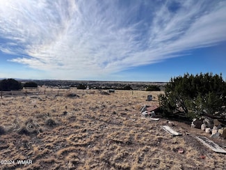 22 Palmer Dr, Concho, AZ 85924