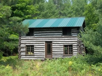 16977 Wild Life Trail Unit Parcel 83, Wolverine, MI 49799