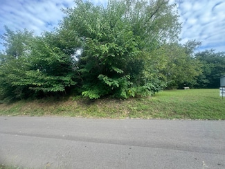 0 Main St Unit 11353712, Henry, TN 38231
