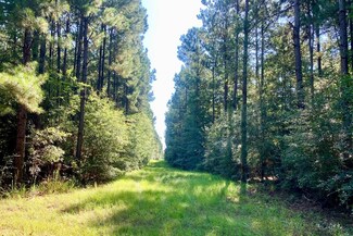 0 Irene, Summit, MS 39666