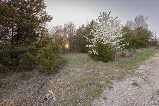 0 Henry Dr, New London, MO 63459