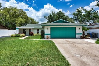 17824 Morninghigh Dr, Lutz, FL 33549