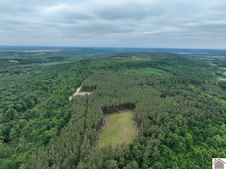 000 Cedar Grove Rd Unit (Livingston Co. KY 7, Salem, KY 42078