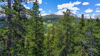 1013 Range Rd, Breckenridge, CO 80424