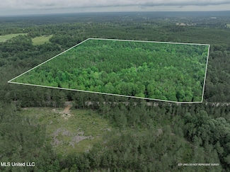 40 Acres Hwy 35, Mount Olive, MS 39119