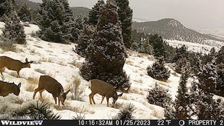 Lot 74 Pony Express Trail, Butte, MT 59748