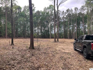 271 Dewberry Rd, Jonesboro, LA 71251