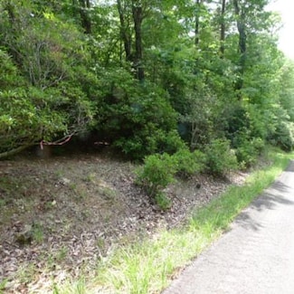 Lot 17 Mountain View Dr Unit 17, Lowgap, NC 27024