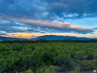 3659 W Turkey Ln, Nephi, UT 84648