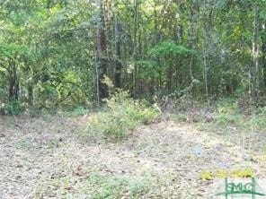 0 Salt Creek Rd Unit 324468, Garden City, GA 31405