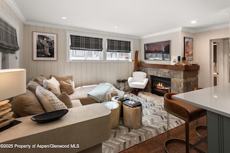 835 E Hyman Ave Unit D, Aspen, CO 81611