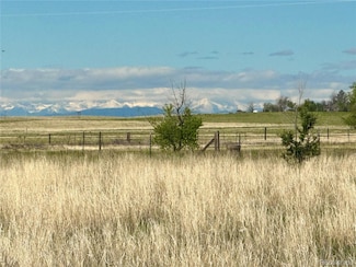 Tract 4 S E Ellicott Rd, Calhan, CO 80808