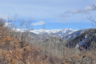 56265 Zirkel View Ln, Clark, CO 80428