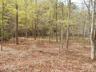 0 Rock Camp Rd Unit 3949589, Harrisville, WV 26362