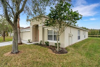 31115 Hannigan Place, Wesley Chapel, FL 33543