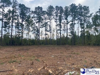 Lot 1-D Daniels Ln, Bennettsville, SC 29512