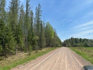 Lot ON Wardensky Rd, Lake, WI 54514