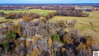 00 Albert Hook Rd, La Center, KY 42056