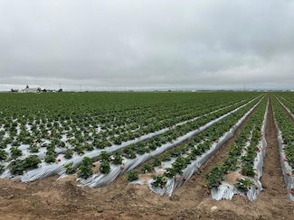 581 San Juan Grade Rd, Salinas, CA 93907