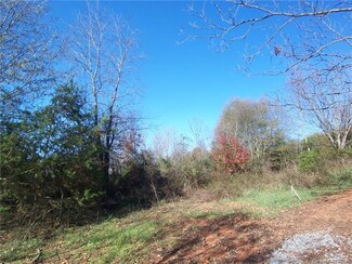 128 Jim Cline Rd, Lawndale, NC 28090