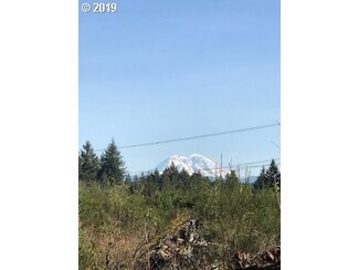 289 Coma Rd, Vader, WA 98593