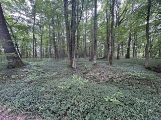 2 Kelly Willis Rd, Greenbrier, TN 37073