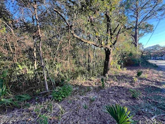 TBD Otter Lake Rd, Panacea, FL 32346