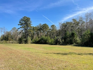 200 Cypressglade Ln, Midland City, AL 36350