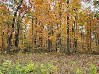 10 AC W Robbins Rd, Robbins, TN 38570