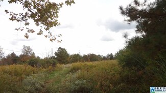 Lot #8 County Road 103 Unit 8, Woodland, AL 36280