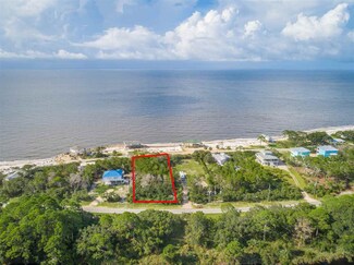 1358 Chip Morrison Dr, Panacea, FL 32346