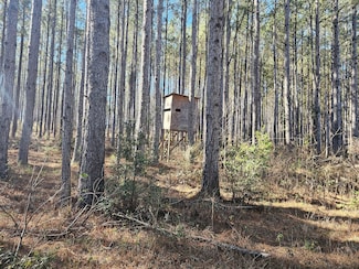 0 Alabama 51, Ariton, AL 36311