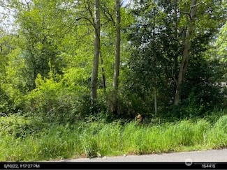 0 Marine Dr Unit NWM2439086, Point Roberts, WA 98281