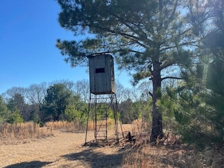 5091 Holly Grove Ln, Hermanville, MS 39086