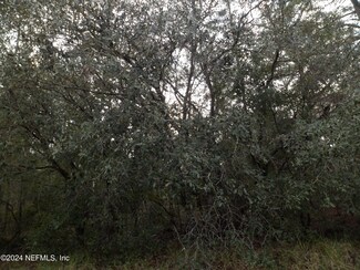 0 Unassigned Lot 28 and 29 Unit 2011345, Interlachen, FL 32148