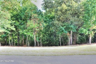 204206208 Majestic View Dr, Rockwood, TN 37854