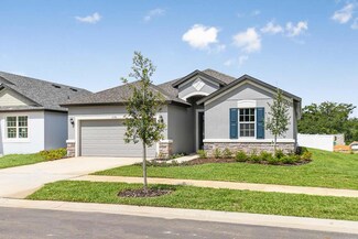 1096 Davis Heather Cir, Seffner, FL 33584