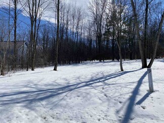 Lot 3 Oliver Howe Ct Unit Lot 3, Shoreham, VT 05770