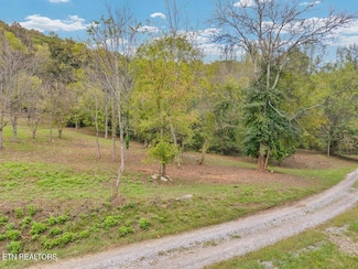 21.03 AC Watts Hollow Rd, Buffalo Valley, TN 38548