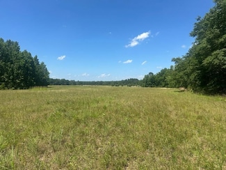 0 Rocky Knob Rd Unit 22483768, Sylvania, GA 30467