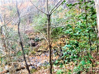0 Wards Gap Rd Unit 3703365, Casar, NC 28090