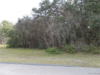 241 N Highview Ave, Hernando, FL 34442