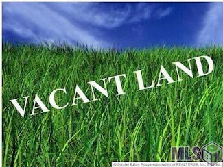 Lot N-1-A Bill Morgan Rd, Prairieville, LA 70769
