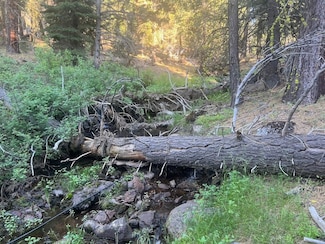 0 Canyon Creek Rd, California Pines, CA 96101